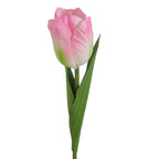Decorative Art Tulip | Kelmera