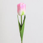 Decorative Art Tulip | Kelmera