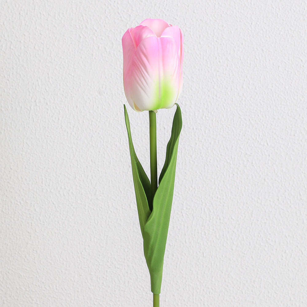 Decorative Art Tulip | Kelmera