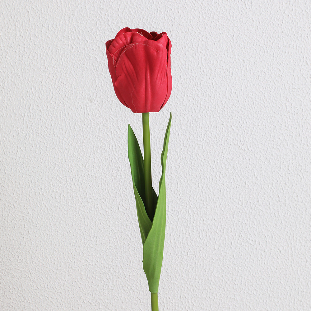 Decorative Art Tulip | Kelmera