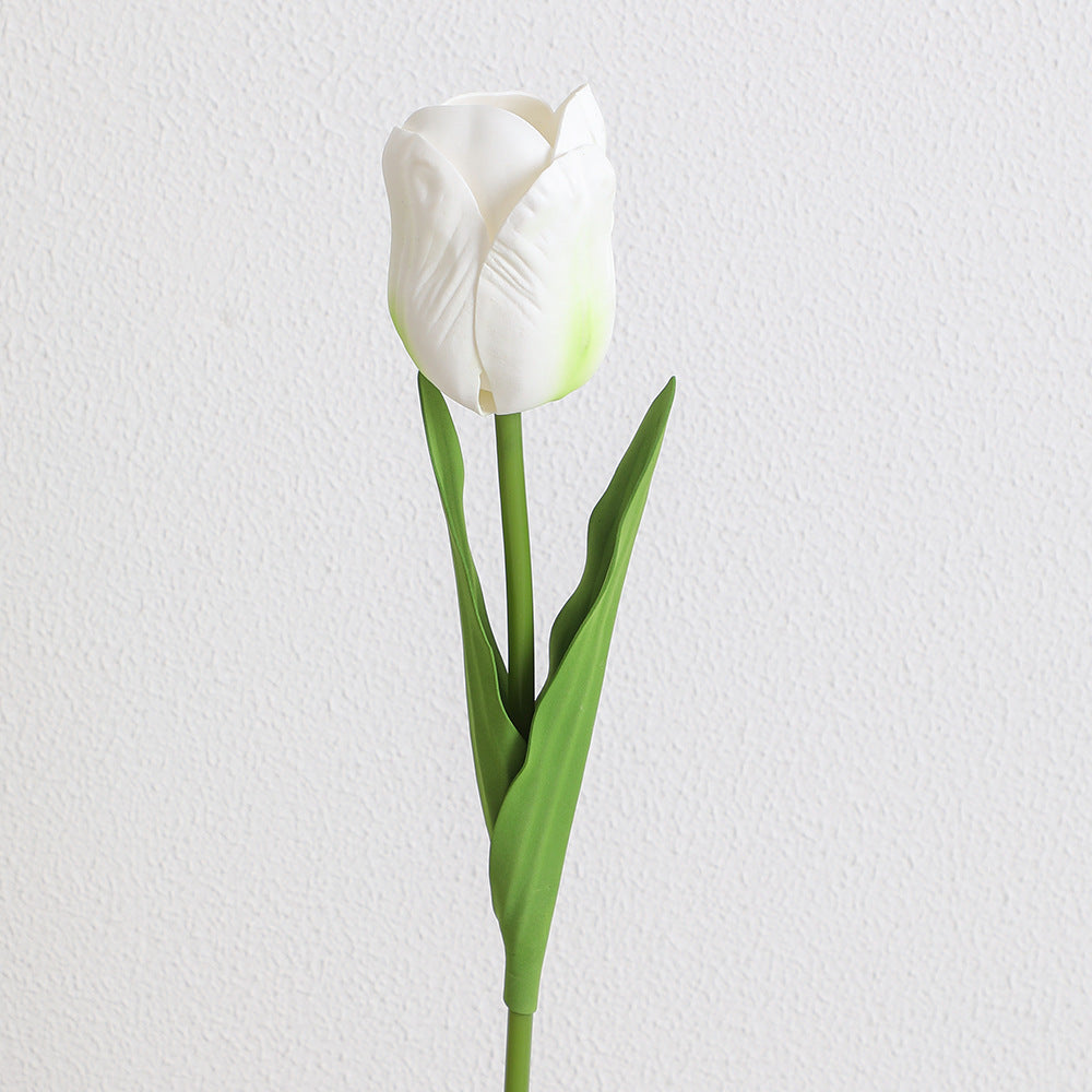 Decorative Art Tulip | Kelmera