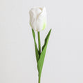 Decorative Art Tulip | Kelmera
