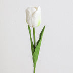 Decorative Art Tulip | Kelmera