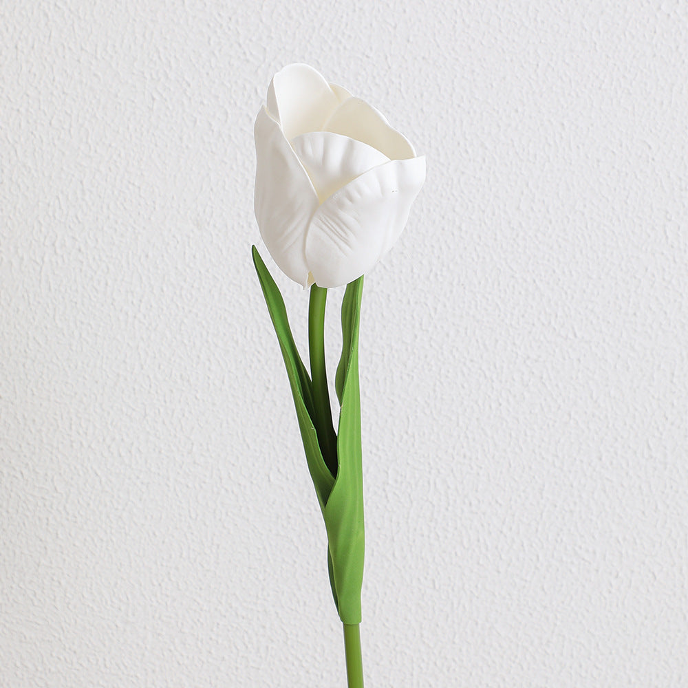 Decorative Art Tulip | Kelmera
