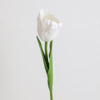 Decorative Art Tulip | Kelmera