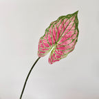 Decorative Artificial Plant Branch | Kelmera
