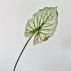 Decorative Artificial Plant Branch | Kelmera