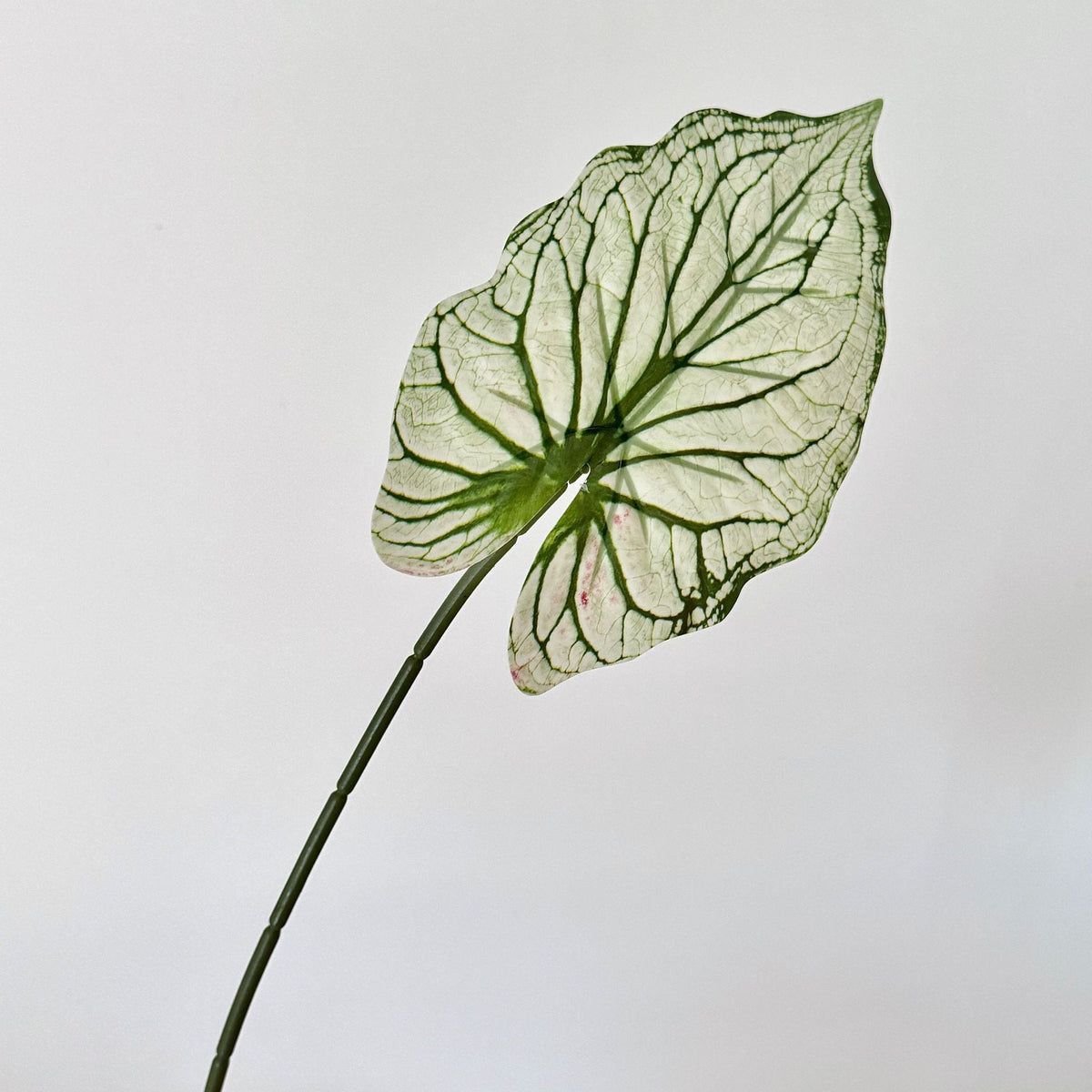 Decorative Artificial Plant Branch | Kelmera