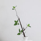 Decorative Artificial Tree Branch with Realistic Leaves | Kelmera