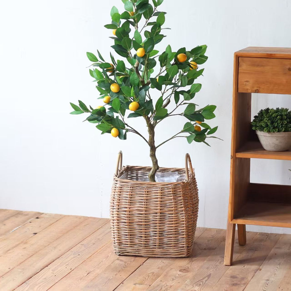 Decorative Basket Handcrafted | Kelmera