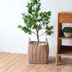 Decorative Basket Handcrafted | Kelmera