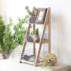 Decorative Basket Stand | Kelmera