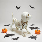 Decorative Dog Skeleton Figure | Kelmera