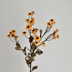 Decorative Dried Flowers | Kelmera