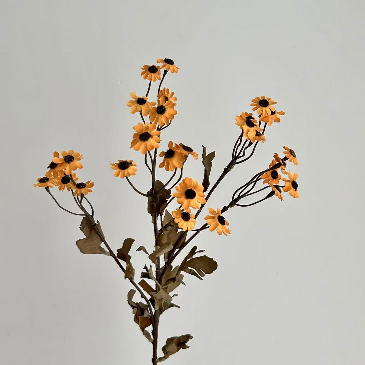 Decorative Dried Flowers | Kelmera