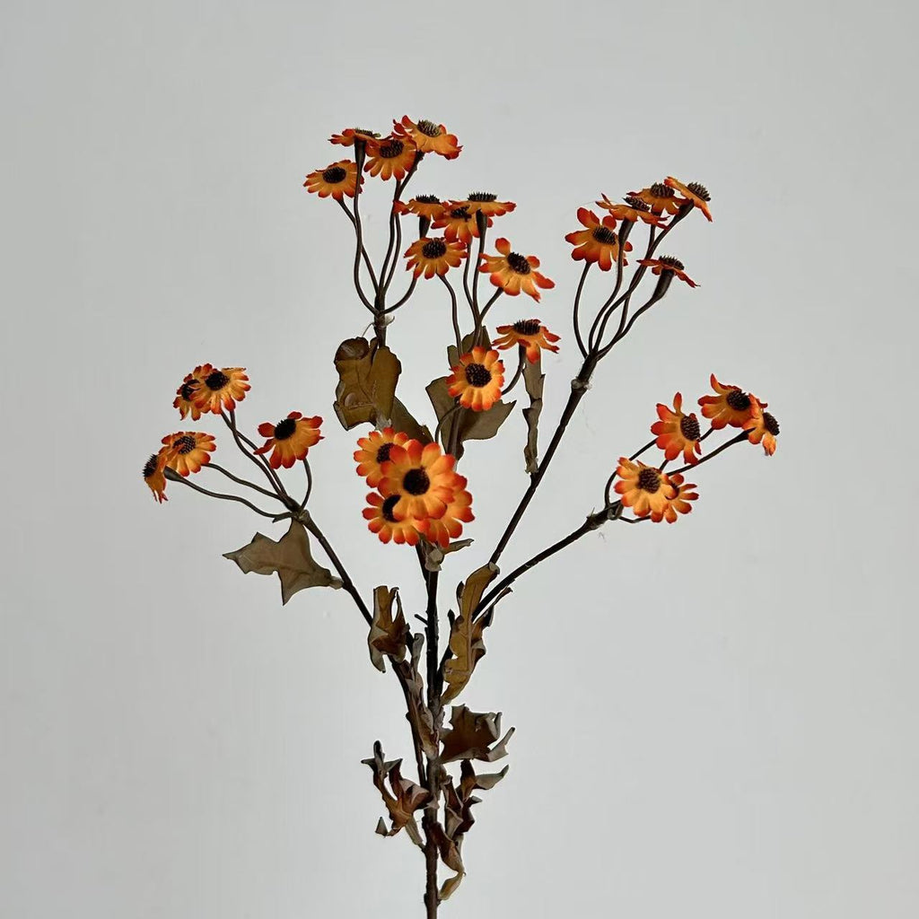Decorative Dried Flowers | Kelmera