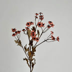 Decorative Dried Flowers | Kelmera