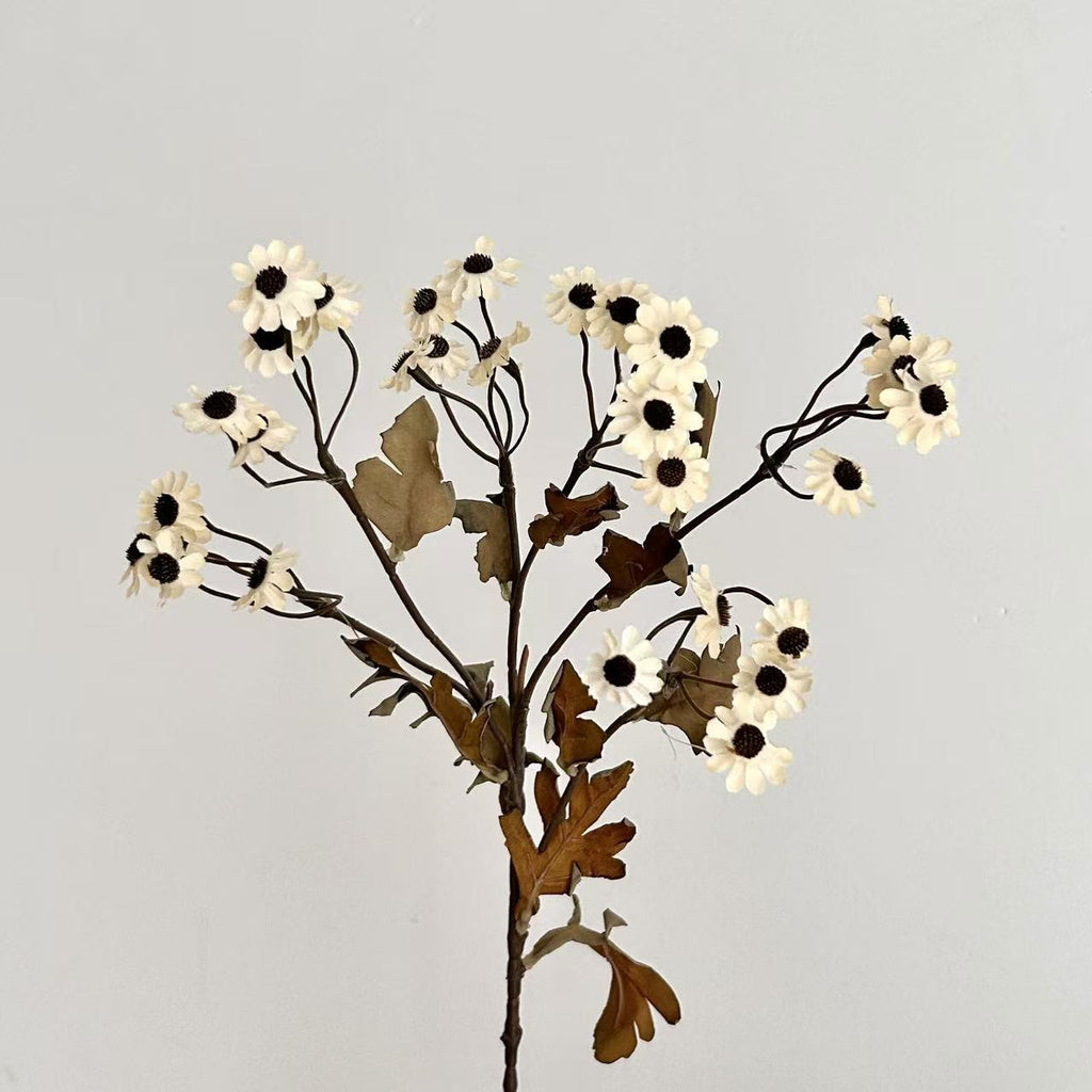 Decorative Dried Flowers | Kelmera