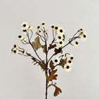 Decorative Dried Flowers | Kelmera