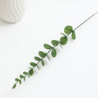 Decorative Eucalyptus Branch | Kelmera