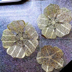 Decorative Floral Wall Art Sculpture | Kelmera