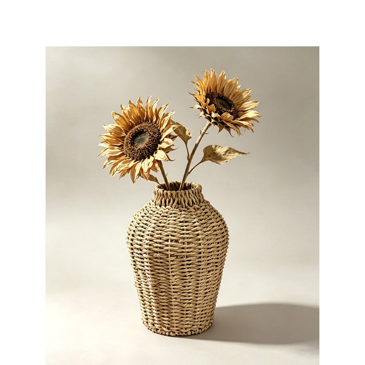 Decorative Flower Pot Handwoven Handcrafted | Kelmera