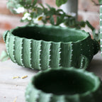 Decorative Flower Pot in Cactus Design | Kelmera