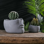 Decorative Flower Pots | Kelmera