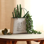 Decorative Garden Container | Kelmera