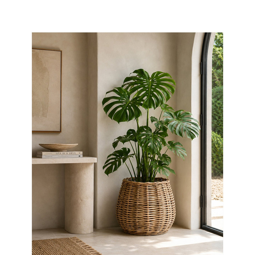 Decorative Laundry Basket Two Small Large | Kelmera