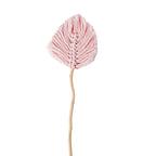 Decorative Natural Dried Leaf Wall Art | Kelmera