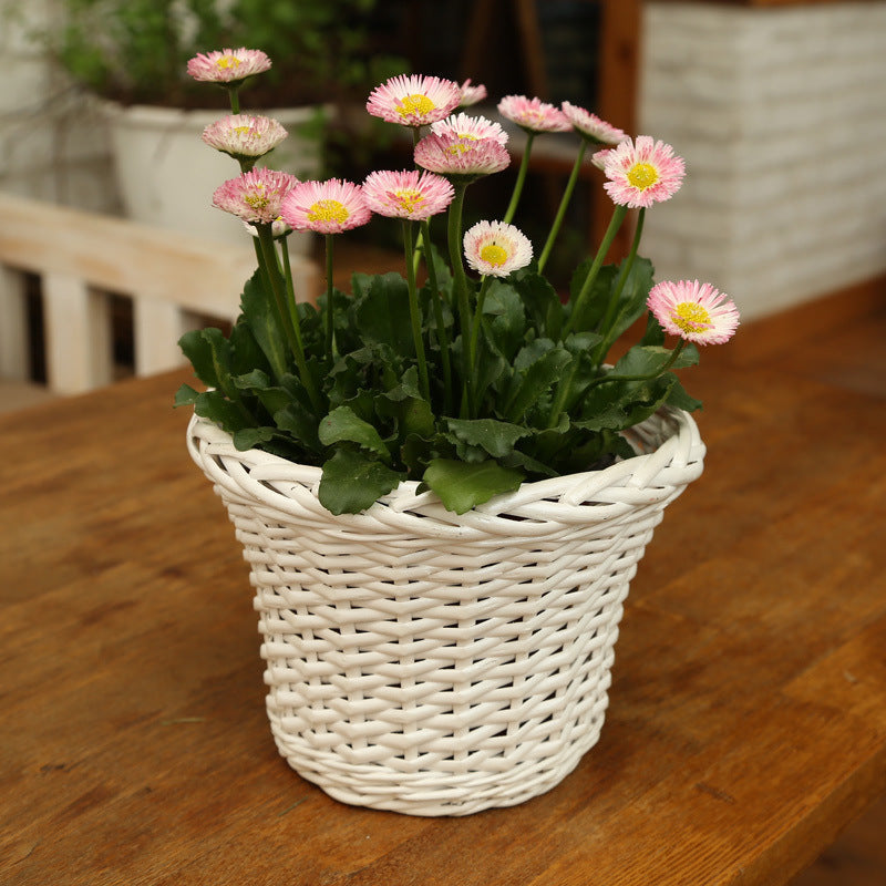 Decorative Plant Basket made of Woven Material | Kelmera