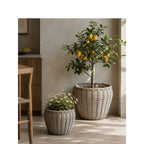 Decorative Plant Basket with Plastic Inner Bag | Kelmera