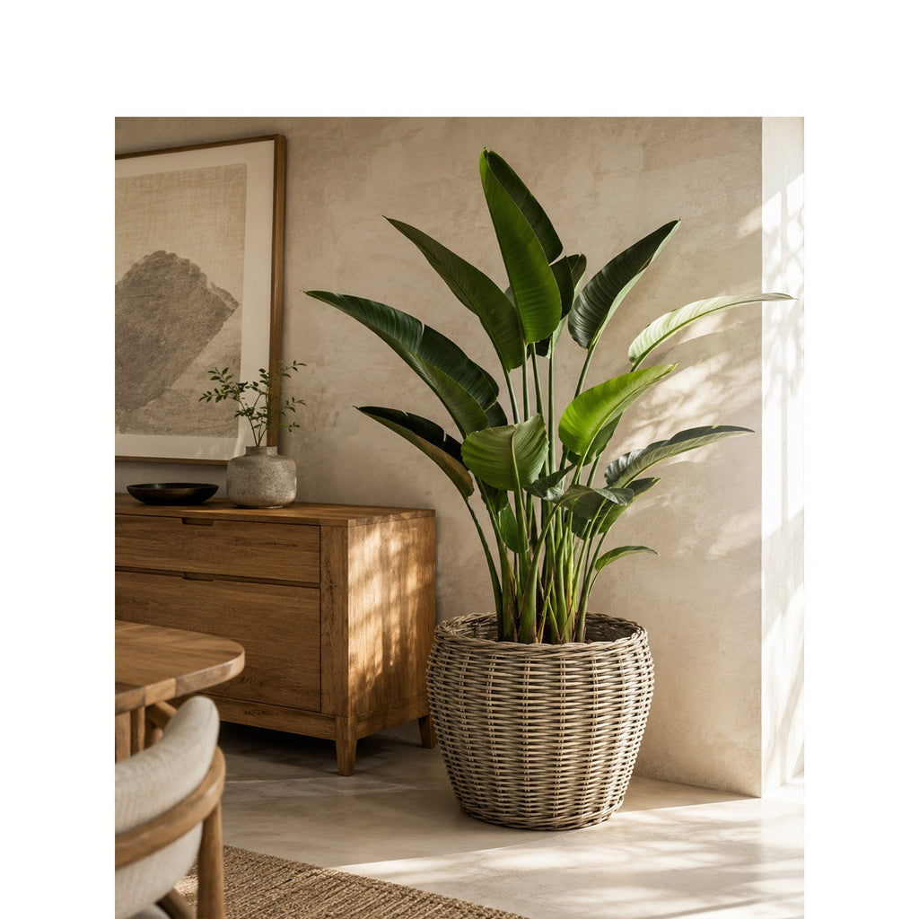 Decorative Plant Basket with Plastic Inner Bag | Kelmera