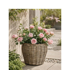 Decorative Plant Basket with Plastic Inner Bag | Kelmera