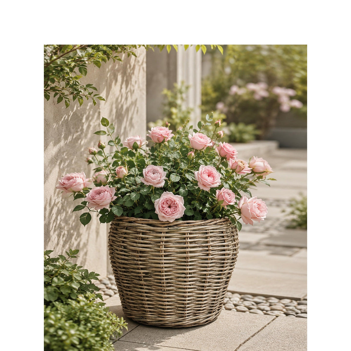 Decorative Plant Basket with Plastic Inner Bag | Kelmera