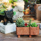 Decorative Plant Bowl | Kelmera