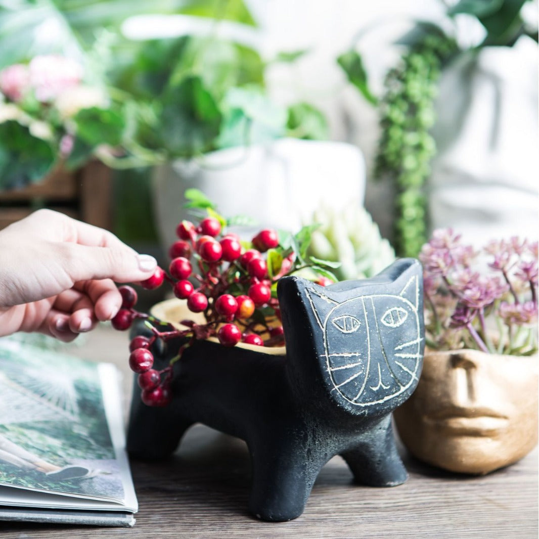 Decorative Plant Bowl | Kelmera