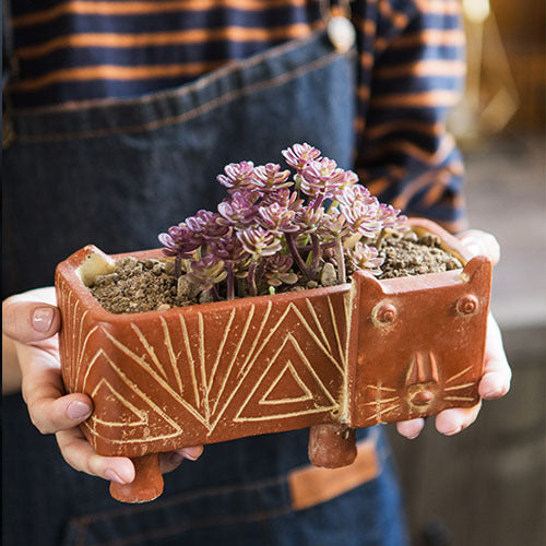 Decorative Plant Bowl | Kelmera