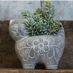 Decorative Plant Brown Black | Kelmera