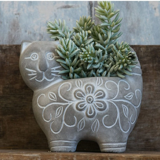 Decorative Plant Brown Black | Kelmera