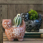 Decorative Plant Brown Black | Kelmera