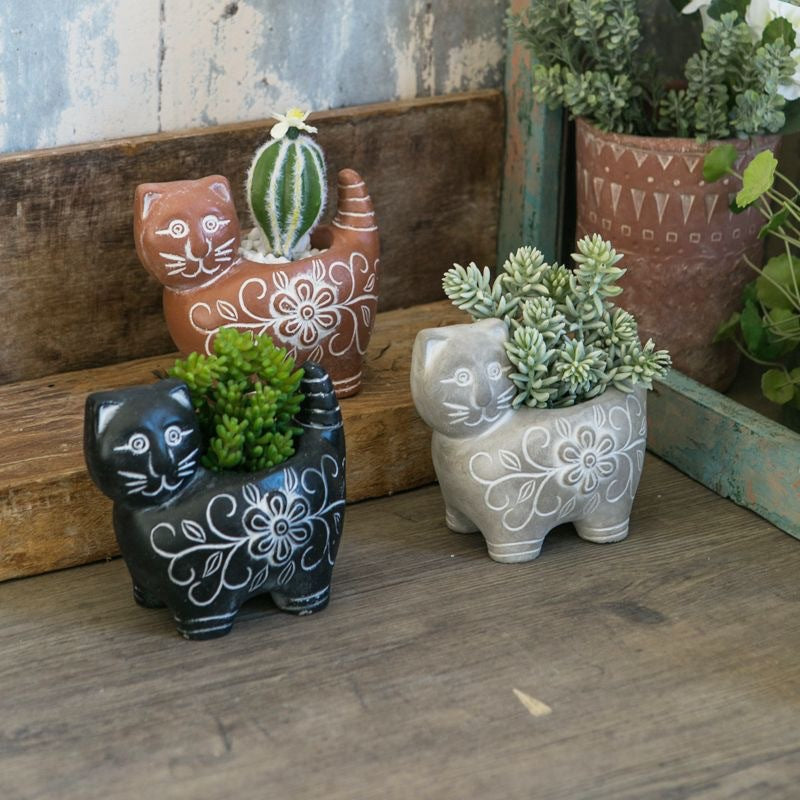 Decorative Plant Brown Black | Kelmera