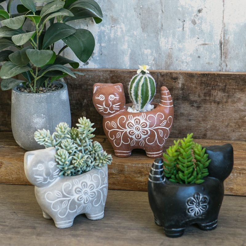 Decorative Plant Brown Black | Kelmera