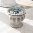 Decorative Plant Pot Ceramic | Kelmera