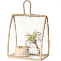Decorative Plant Protection | Kelmera
