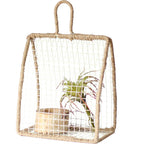 Decorative Plant Protection | Kelmera