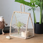 Decorative Plant Protection | Kelmera