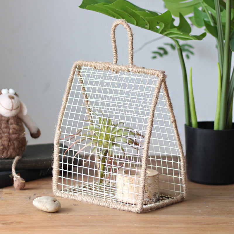 Decorative Plant Protection | Kelmera