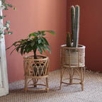 Decorative Plant Table | Kelmera